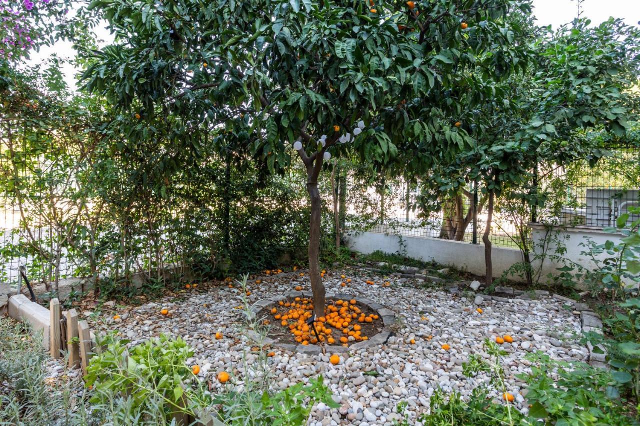 Villa Belinda Belek Exteriér fotografie